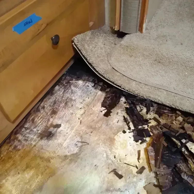 Best Wood Floor Water Damage Service in Pope County, AR